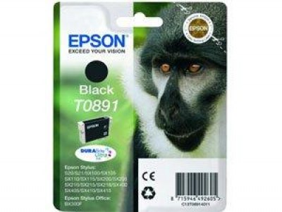 Inkoust Epson T0891 C13T08914011 black